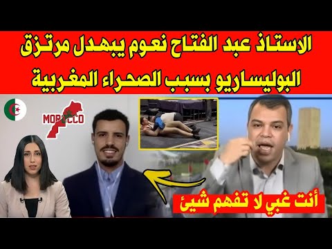 الاستاذ عبد الفتاح نعوم يمسح الأرض بمرتزق البوليساريو والجزائر بسبب الصحراء المغربية