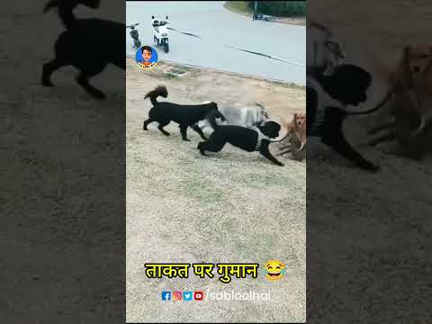 Takat Ke Guman || Sab LOol Hai