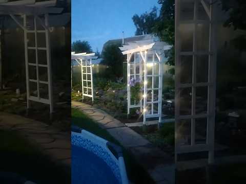 #дача #омск #мудрыеслова #держитесь подальше от тех людей.......#shorts