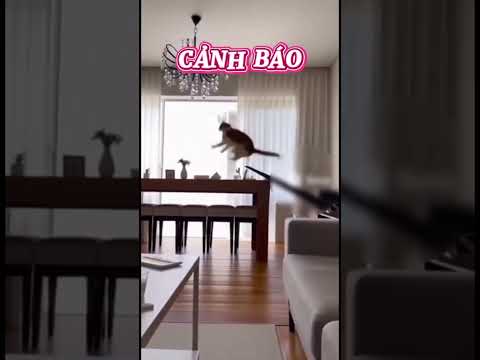 Cảnh báo (không thể đùa được)