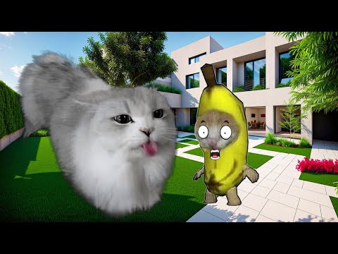 Banana Cat 🍌🐱 Life Series Compilation #23 😸🤭