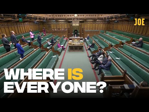 International Men's Day: MPs fail to show up to House of Commons