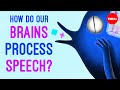 Understanding Speech and Language Processing