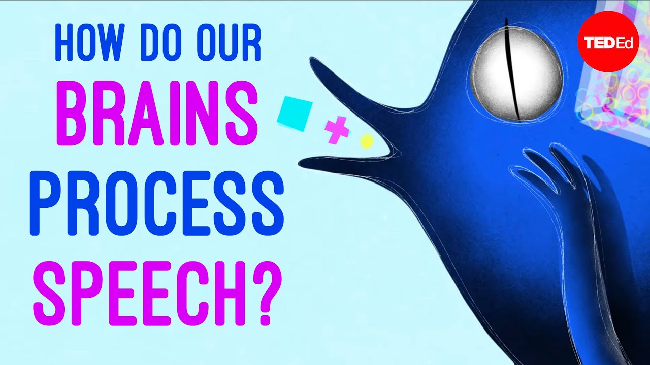 How do our brains process speech? Gareth Gaskell