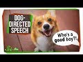 Understanding Dog-Directed Speech