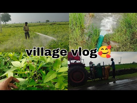 My village New vlog | Gav me khet par Dawai karwane ja rhe he | village life vlog🤗