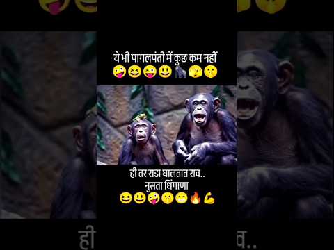 Masti time 🤣 #shorts #viral #trending #funny #comedy #youtubeshorts