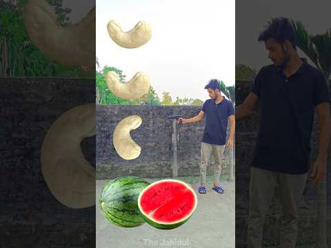 Rounding kaju badam to Watermelon, lichi, Mango & Grapes - Fruits names magic video