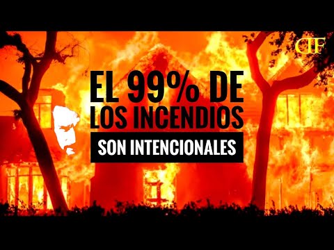 LA CONSPIRACIÓN SE PROPAGA COMO EL FUEGO DE LOS ÁNGELES