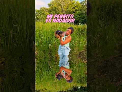 Un perrito nadador 😂 #comedia