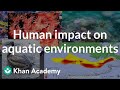 Exploring Human Impacts on Aquatic Ecosystems