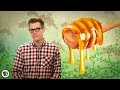 Bee Behavior and Communication