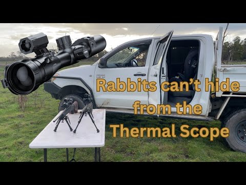 Thermal Hunting: Rabbit On The Menu