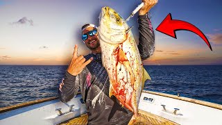 Yellow Vs Blue Jack *SOLO FISHING* {Catch and Cook}