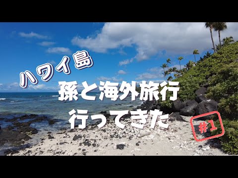 【孫と旅行】前編/ハワイ島/コンドミニアムで自炊/シニアvlog