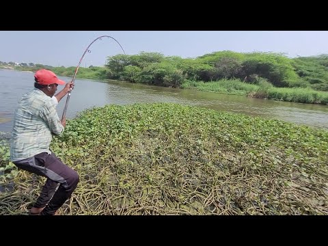 NEW FISHING 🎣 TECHNIQUES in How to FLOAT ROHU FISHES CATCHING by Single Hook