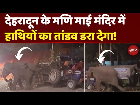 Elephant Attack LIVE Video: ट्रैक्टर पलटा, बाइक गिराई...Dehradun के मणि माई मंदिर पर हाथियों का बवाल