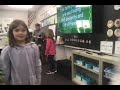 Understanding Compare and Contrast