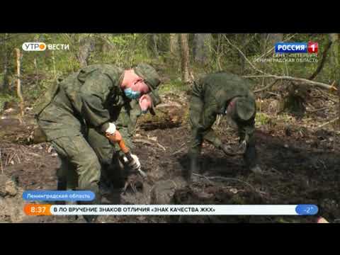 Вести Санкт-Петербург. Выпуск 8:35 от 22.03.2021