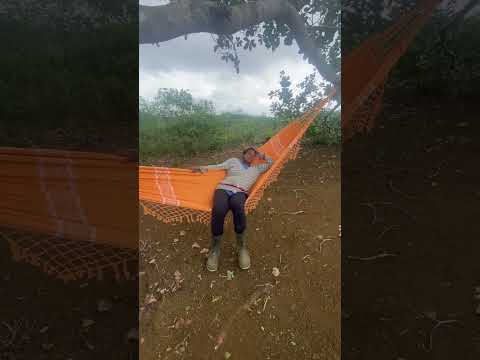 Temos um Cantinho Especial de Lazer Aqui na Roça!