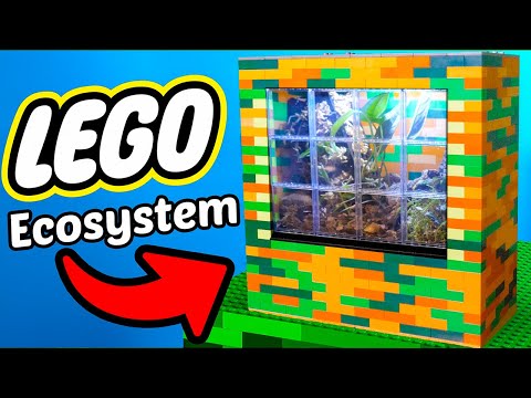 I Made a Real Terrarium Out of LEGO