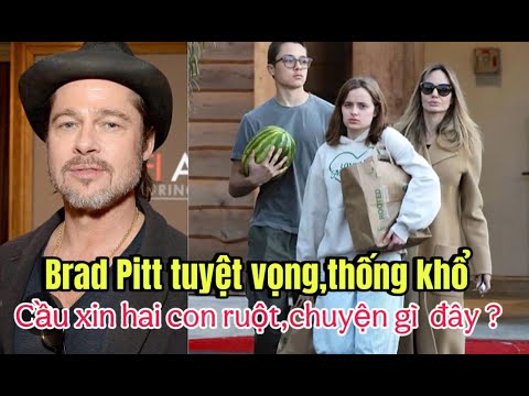 BRAD PITT TUYỆT VỌNG, THỐNG KHỔ PHẢI CẦU XIN HAI CON RUỘT. CHUYỆN GÌ ĐÃ XẢY RA???