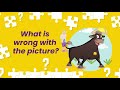 Video Structure and Content Sections