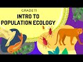 Exploring Population Ecology Fundamentals