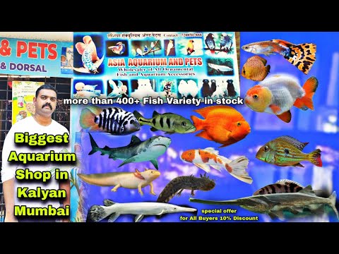 Biggest Aquarium Fish Shop In Kalyan Visit | Asia  Asia Aquarium and pets 
Janta Bank Lane, Shop No 1, 2 & 3, Shree Dev Complex, Chinchpada Rd, near Ba