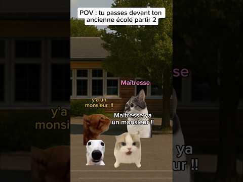 POV: Tu passes devant ton ancienne école partie 2 #humour #drole #catmemes #sketch #pov
