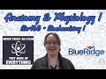 Chemistry Concepts and Reactions