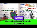 Protein Structure and Function Concepts