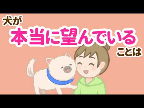 【後悔する前に】愛犬が本当に望んでいる7つのこと