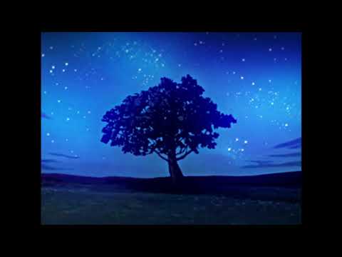 BLVK. - complex