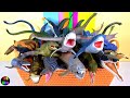 Marine Reptiles and Their Adaptations