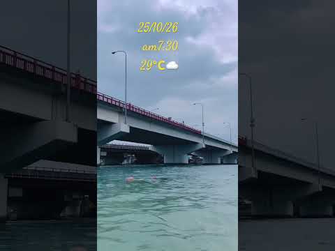 今日は、国際通りで空手のパレードがあるようです#継続 #沖縄 #shorts_ #ブルーゾーン #ルーティーン