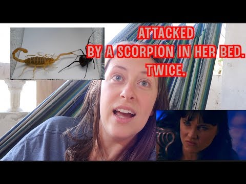 Attacked by a SCORPION in her BED. Twice.