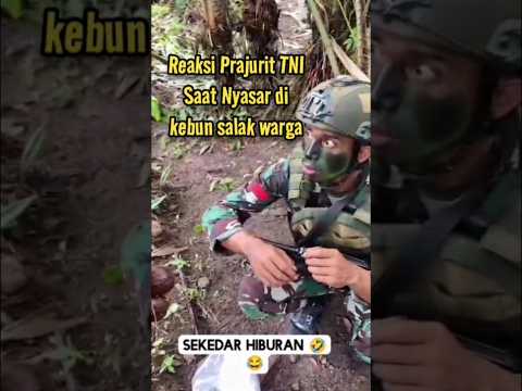 Viral Biar Tidak di Sangka nyuri, begini Cara Prajurit TNI saat Nyasar di kebun salak warga ๐๐๐