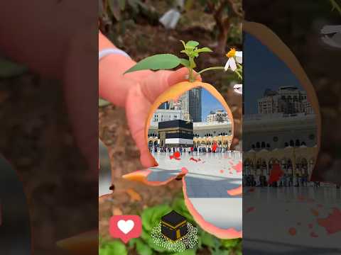 makkah kaba #shortvideo #shortsviral #shorts #tiktok