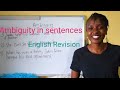 Understanding Ambiguity in Communication