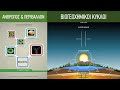 Understanding Biogeochemical Cycles
