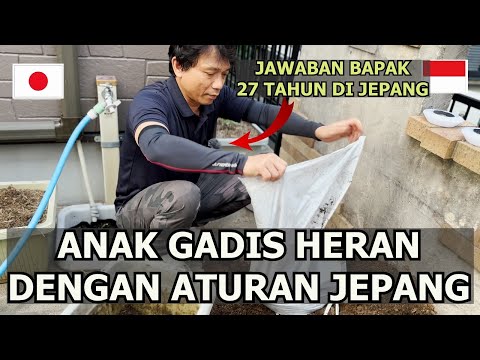 JEPANG NEGARA MAJU! TAPI CARA PACKING PAKETANNYA UNIK!