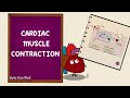 Cardiac and Skeletal Muscle Contraction