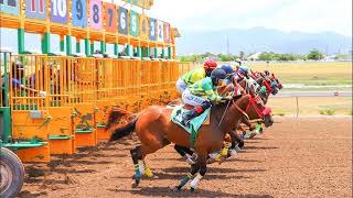 CAYMANAS PARK BREAKING NEWS - DON KWESI CONNECTIONS APPEAL DISQUALIFICATION
