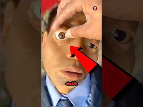 تبدو حقيقة 😱 ؟!