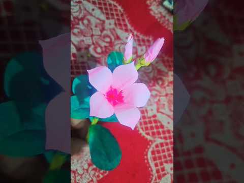 सदाबहार फुल 🌸#shots #youtubeshorts #explore #viral ##trending #youtube #samina nsr #flowers#craft