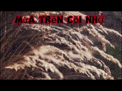 Mưa Trên Cõi Nhớ # Nhạc Hay Mỗi Ngày #