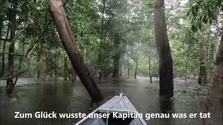 Wenn es mal so richtig regnet im Amazonas-Regenwald