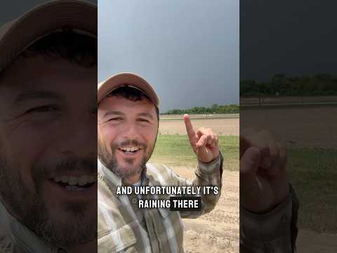 Rain rain go away #houston #rain #farming