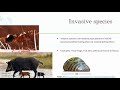 Aquatic Ecosystems and Their Dynamics